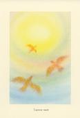 画像1: P156 鳥と太陽